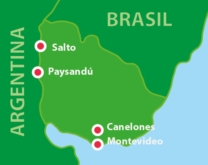 BrazyliaOsobno PL